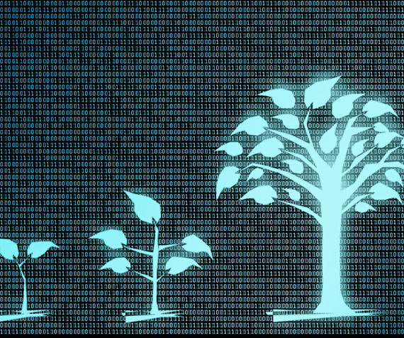 CeRDI researchers raising the bar for agricultural data