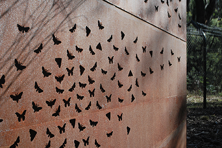 Bogong Moth Tracker