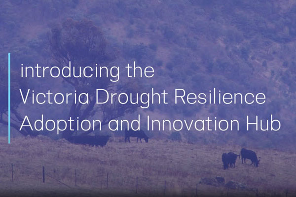 Introducing the Victoria Drought Resilience Adoption and Innovation Hub