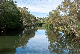 Turning community data into environmental intelligence for Victoria&rsquo;s waterways