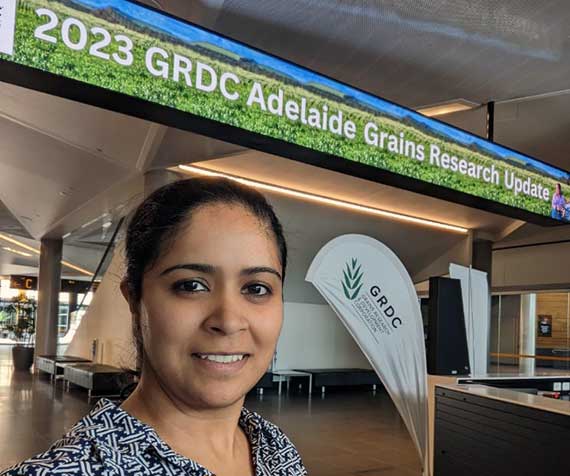 CeRDI staff attend GRDC grains research update