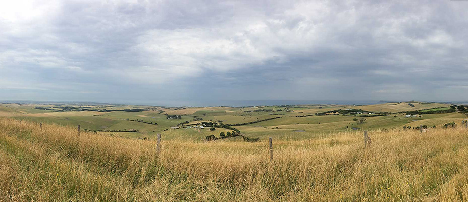 Growing Southern Gippsland