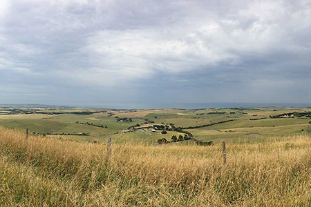 Growing Southern Gippsland