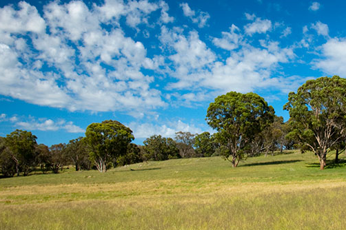 Climate Change Land Capability and Capacity Project