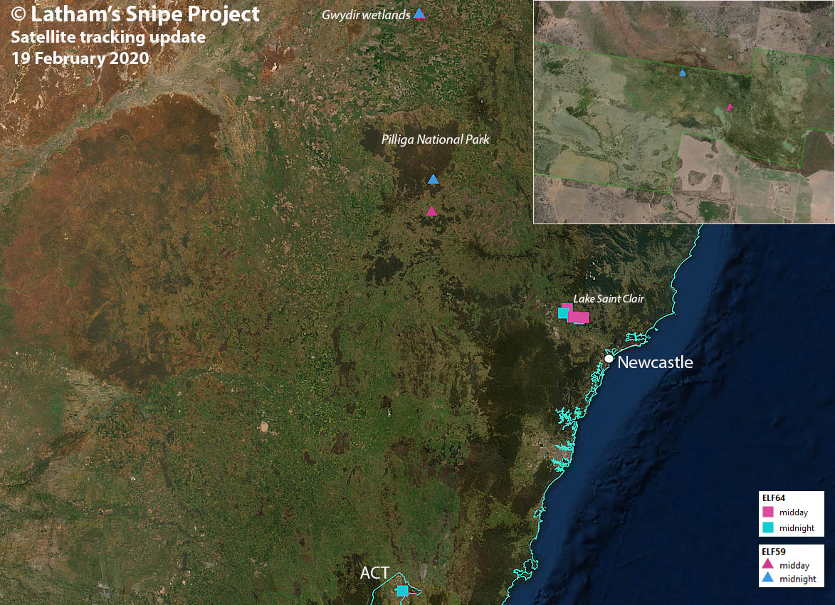 Map of satellite transmitter data from tagged snipe 64 and 59. The inset top right shows a close of up Gwydir wetlands.