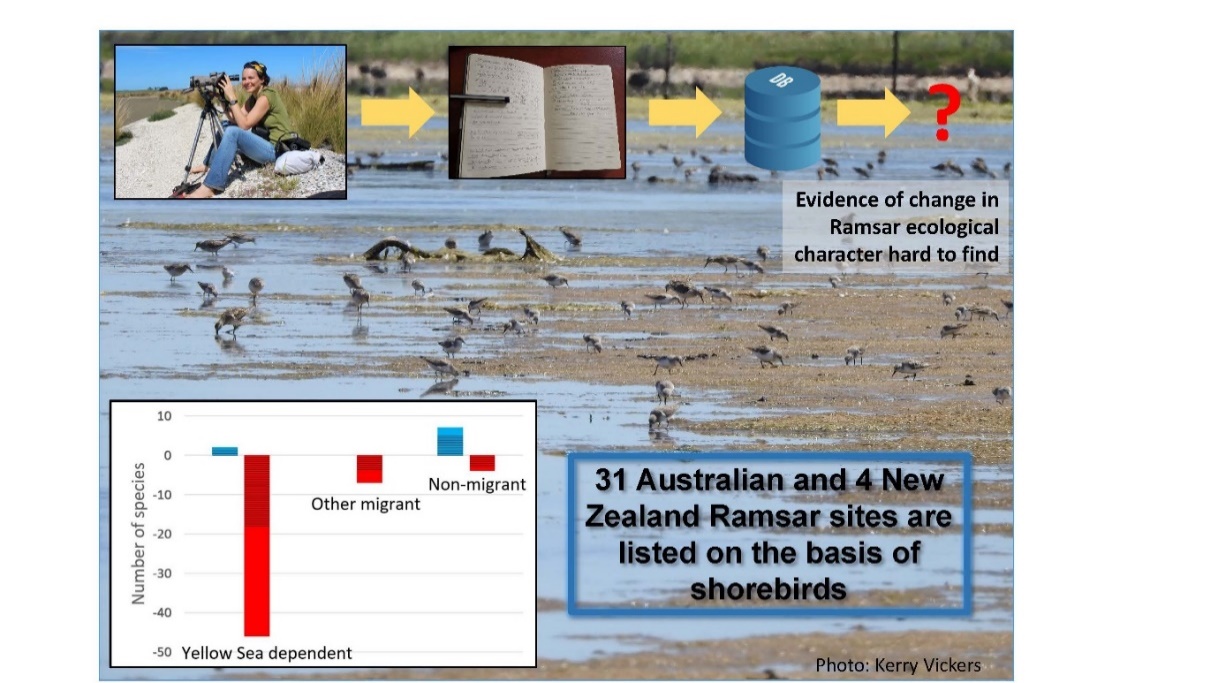 Recent research highlight on Ramsar wetlands