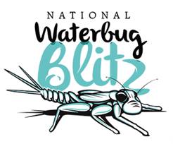 National Waterbug Blitz logo