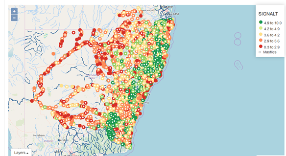 The National Waterbug Blitz website