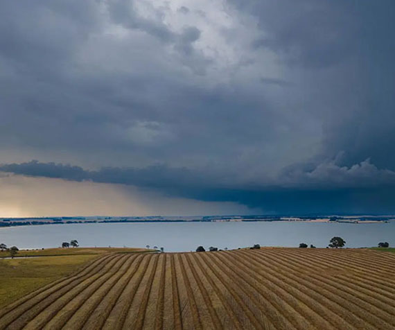 New app helps farmers view rainfall distribution like never before