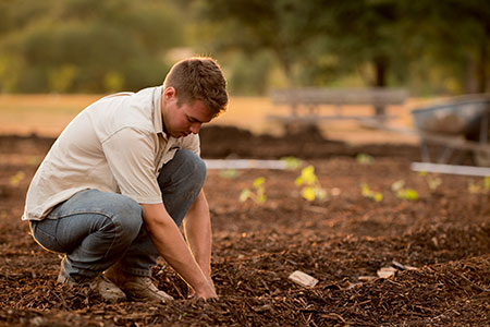 Knowledge Sharing for Good Soil Stewardship