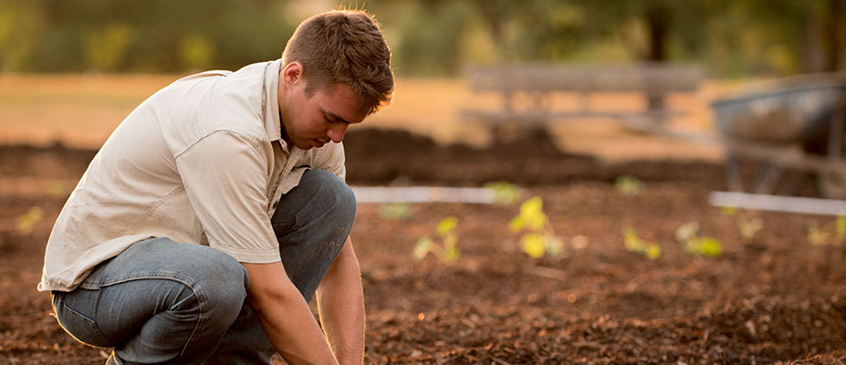 Knowledge Sharing for Good Soil Stewardship