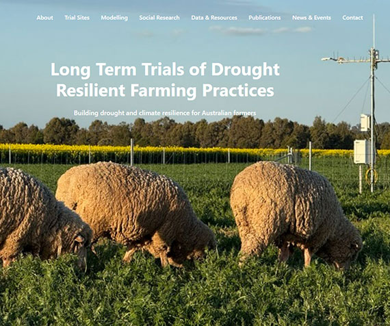 CeRDI Platform Connects Drought Resilience Trials
