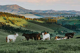 Mapping the science of carbon farming