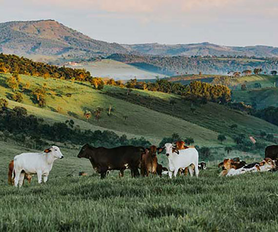 Mapping the science of carbon farming