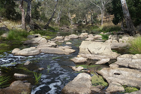 River Detectives