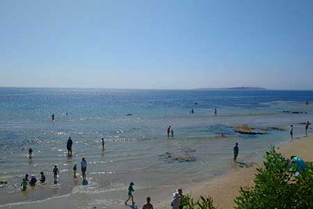 The conservation and management of sandy beach ecosystems: exploring the divergence between policy, science and socio-cultural expectations for stewardship and use