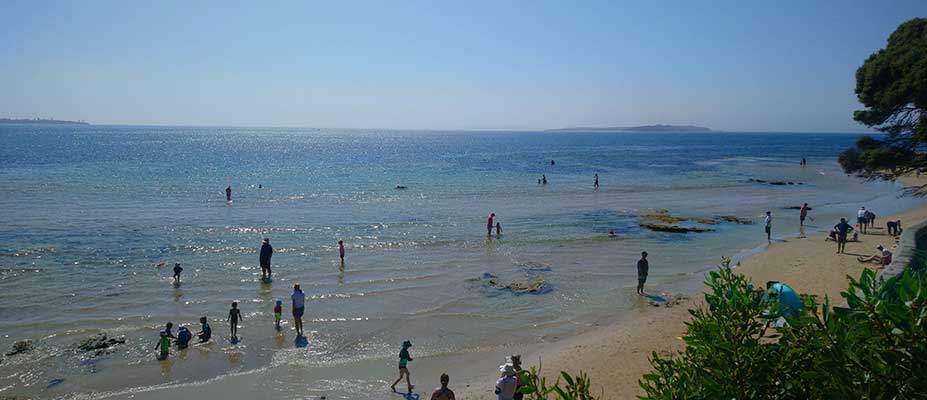 The conservation and management of sandy beach ecosystems: exploring the divergence between policy, science and socio-cultural expectations for stewardship and use.