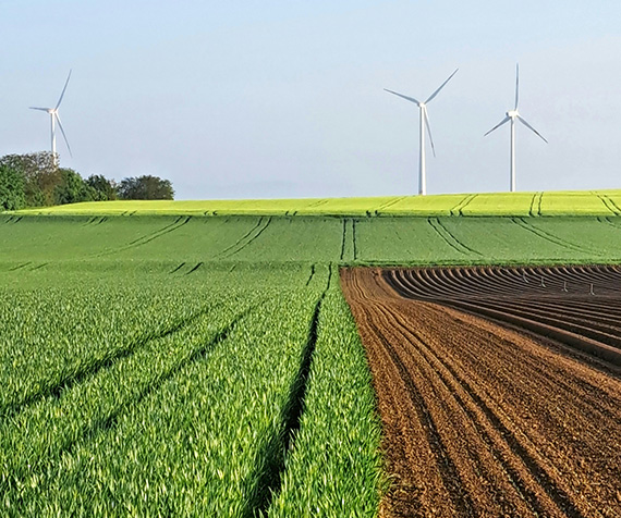 Streamlining sustainability reporting for land managers