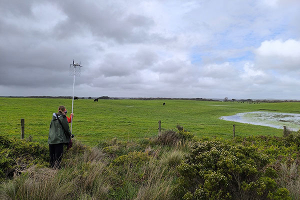 Searching for tagged snipe in Peterborough’s rural landscapes