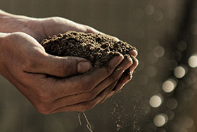 Project: Unlocking soil carbon data