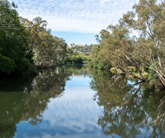 Turning community data into environmental intelligence