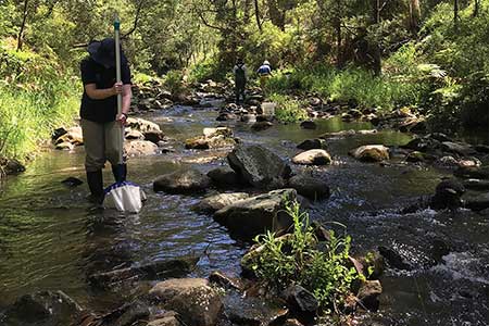 National Waterbug Blitz