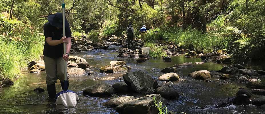 National Waterbug Blitz